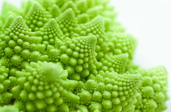 lahana romanesco, brassica oleracea