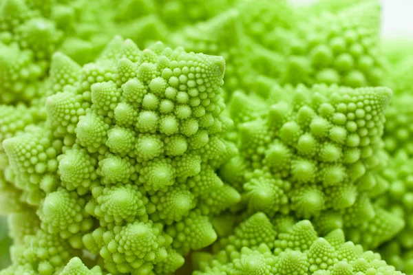 Cavoli romanesco, Brassica oleracea — Foto Stock