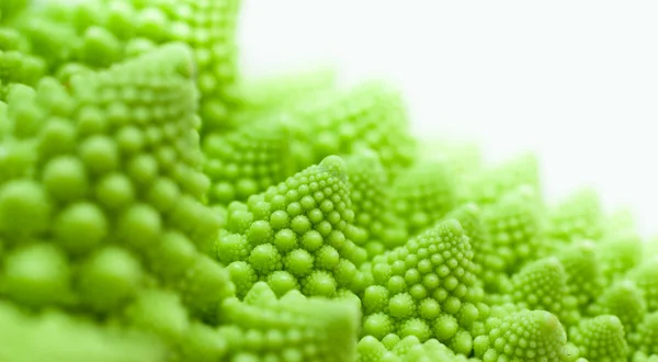 Chou romanesco, Brassica oleracea — Photo