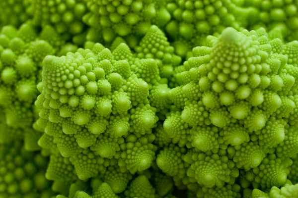 Romanesco λάχανο, brassica oleracea — Φωτογραφία Αρχείου