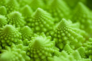 lahana romanesco, brassica oleracea