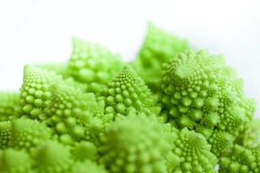 lahana romanesco, brassica oleracea