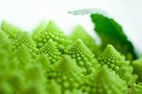 Cavoli romanesco, Brassica oleracea — Foto Stock