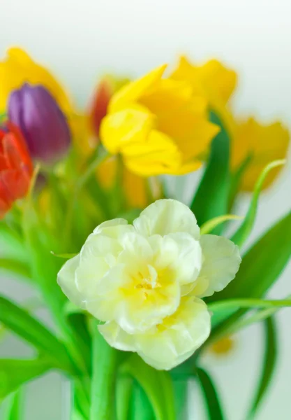 Tulipány v bouqet — Stock fotografie