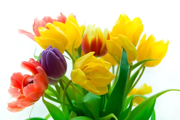 Tulipaner i bouqet – stockfoto