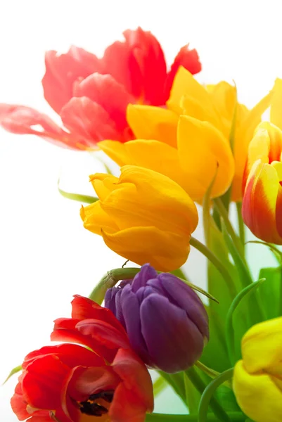 Tulipaner i bouqet – stockfoto