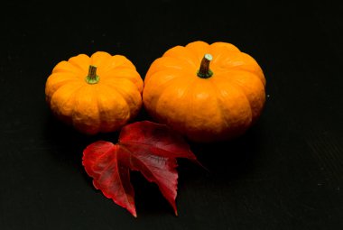 siyah masa üzerinde sarı kabak