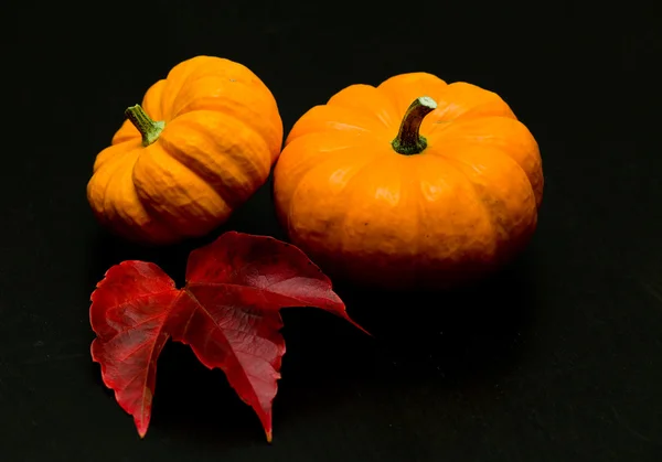 Yellow pumkins on black table — Stock Photo, Image