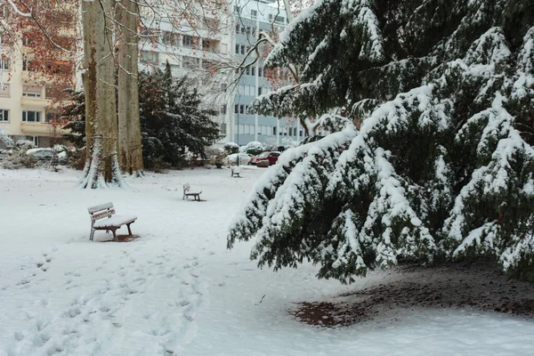 Straßburg Und Velo Schnee Wintermorgen — Stockfoto