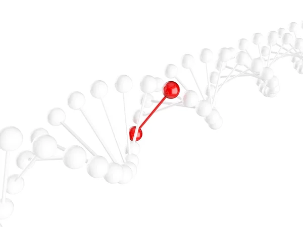 DNA kavramı