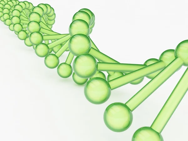 DNA kavramı
