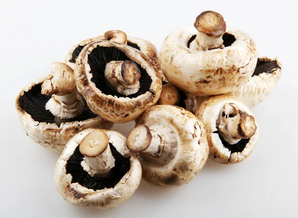 Champignons mit Pilzen — Stockfoto