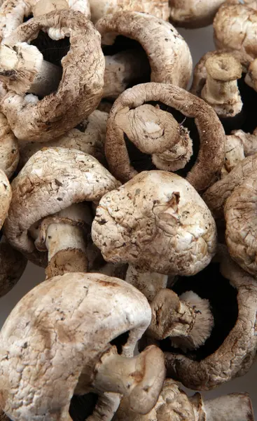 Champinhons de cogumelos — Fotografia de Stock