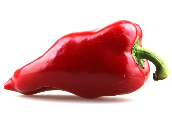 Červené chilli papričky — Stock fotografie