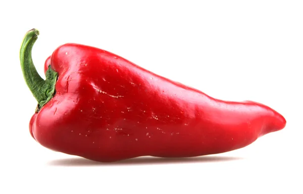 Papryka czerwona papryczka chilli — Zdjęcie stockowe