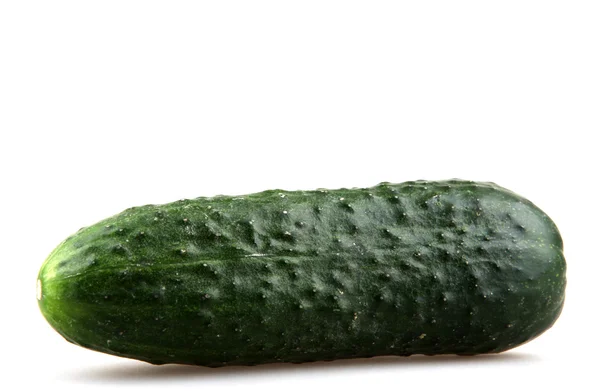 A zöld uborka elszigetelt fehér background — Stock Fotó