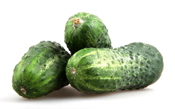 The green cucumbers isolated on white background — Stock Photo, Image