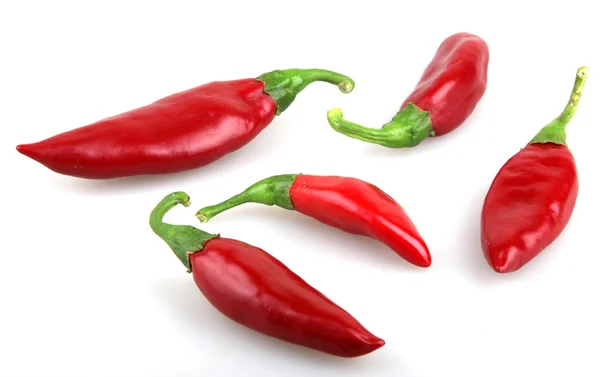 Red chilli peppers — Stock Photo, Image