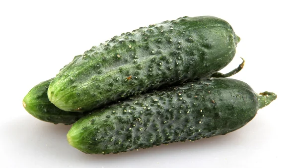 The green cucumbers isolated on white background — Stock Photo, Image