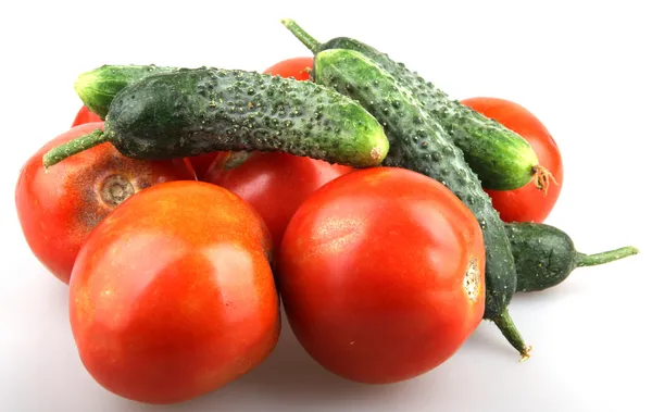 Tomates et concombre isolés sur blanc — Photo