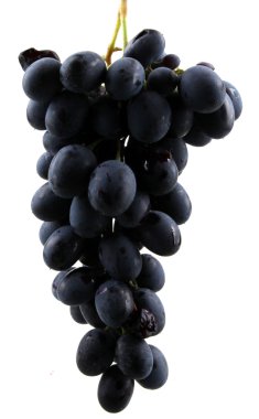 Beyaz arkaplanda izole edilmiş üzümler