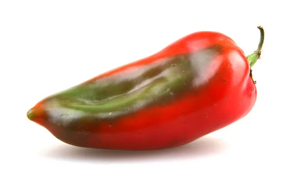 Red pepper — Stock Photo, Image