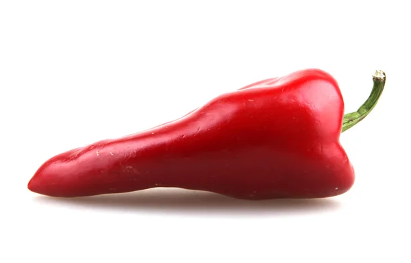 Червоний перець — стокове фото