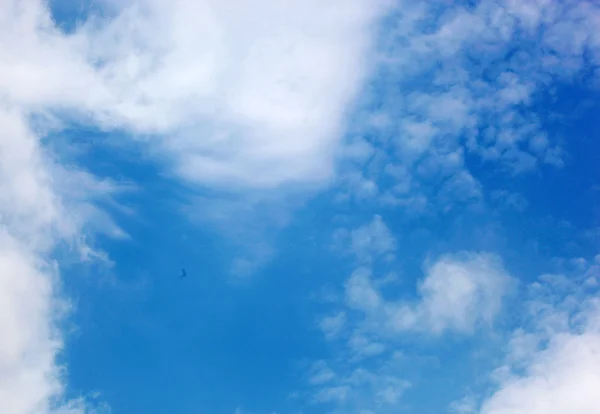 맑은 하늘 배경 — 스톡 사진