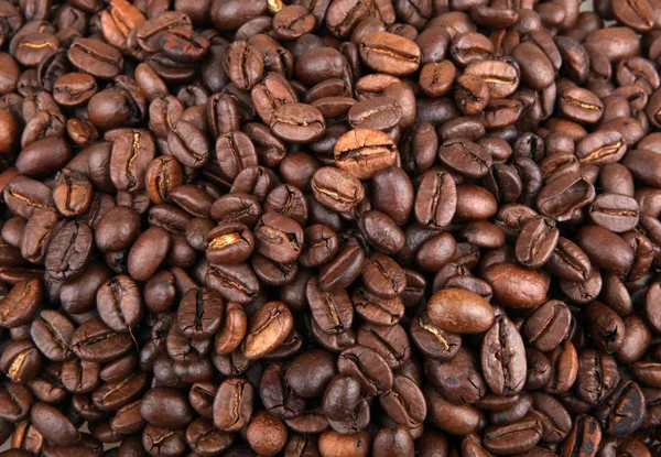 Coffee Beans — Stock Photo, Image