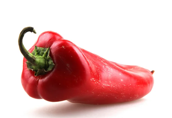 Rote Chilischoten — Stockfoto