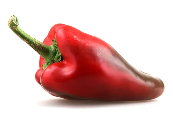 Rote Chilischoten — Stockfoto