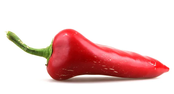 Papryka czerwona papryczka chilli — Zdjęcie stockowe