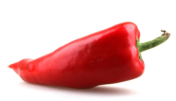 Papryka czerwona papryczka chilli — Zdjęcie stockowe
