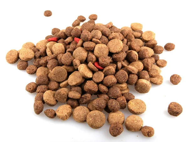 Kuiva koiranruoka — kuvapankkivalokuva