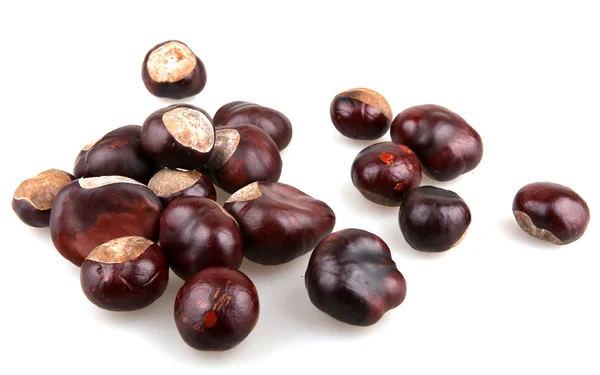 Chestnut — Stock Photo, Image