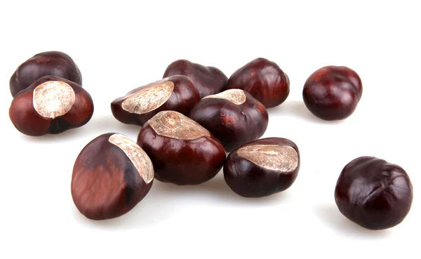 Chestnut — Stock Photo, Image