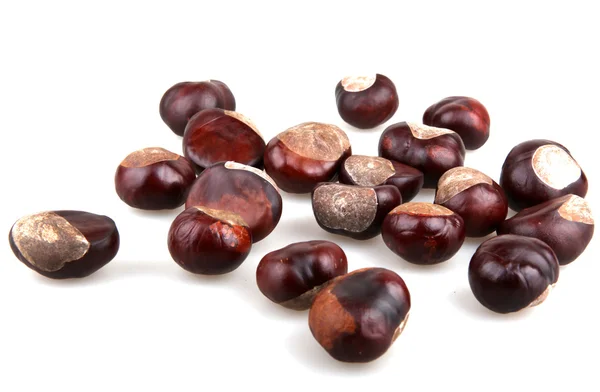 Chestnut — Stock Photo, Image