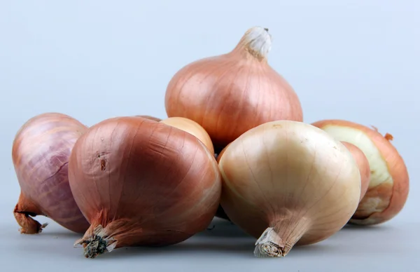 Onion — Stock Photo, Image