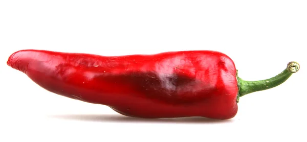 Ají rojo — Foto de Stock