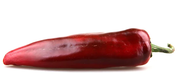 Červená chilli paprika — Stock fotografie