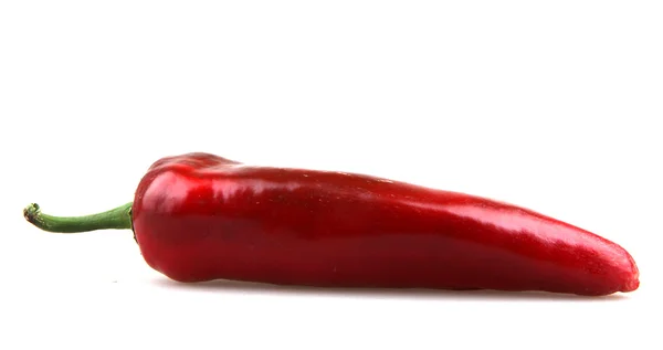 Rode chili peper — Stockfoto