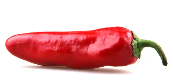 Rode chili peper — Stockfoto