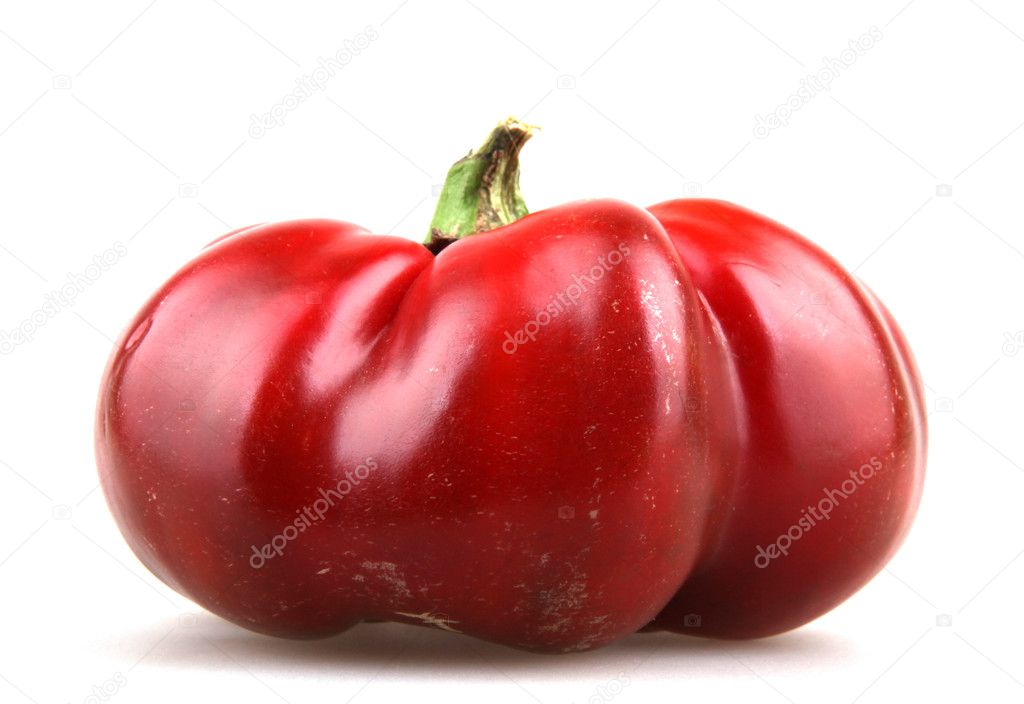 red chili pepper |图库照片08nenovbrothers#13824085