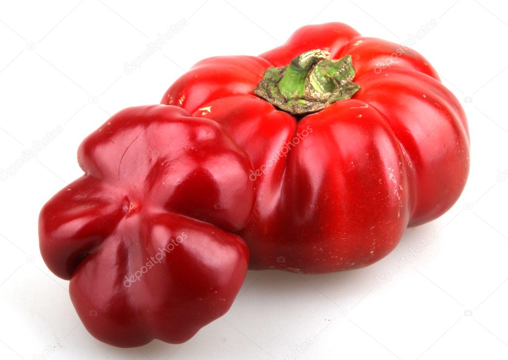 red chili pepper |图库照片08nenovbrothers#13824126