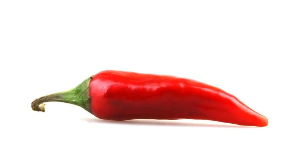 Röd chili peppers — Stockfoto