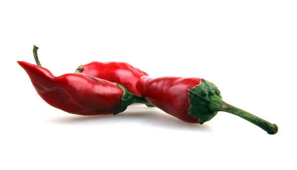 Červené chilli papričky — Stock fotografie