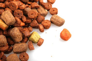 Kuru Köpek Gıda