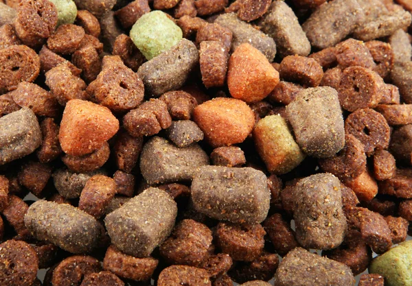 Dry dog food — Stock Photo, Image