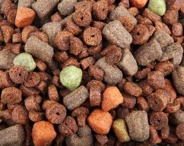 Dry dog food — Stock Photo, Image