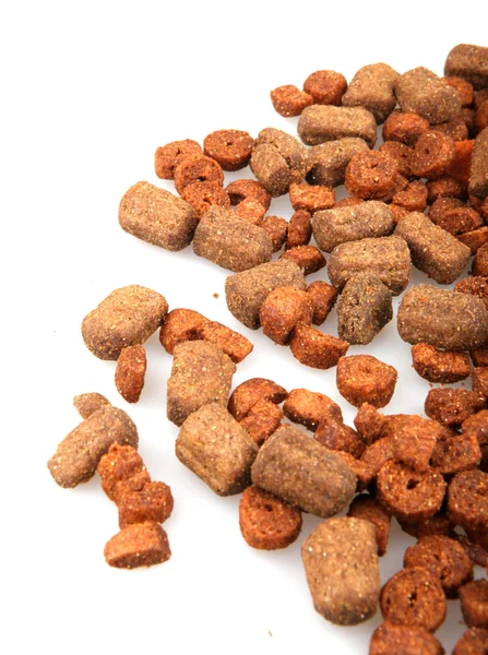 Dry dog food — Stock Photo, Image
